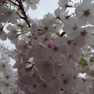 Exploring Hypervigilance